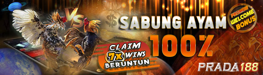 PROMO 100% SABUNG AYAM